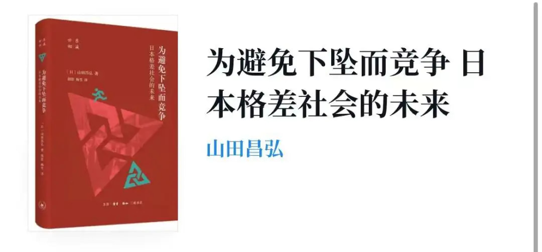 《日本格差社会的未来——为避免下坠而竞争》